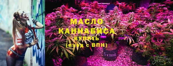 мяу мяу мука Арсеньев