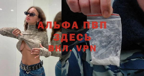мяу мяу мука Арсеньев