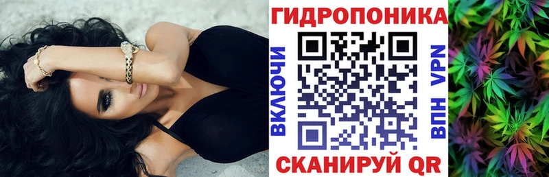 Шишки марихуана THC 21%  площадка какой сайт  Прохладный  где купить наркотик 